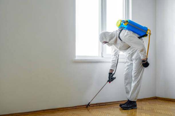 Best Bed Bug Extermination  in South Charleston, OH