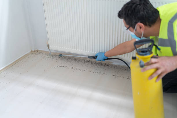 Best Mosquito Control Services  in South Charleston, OH